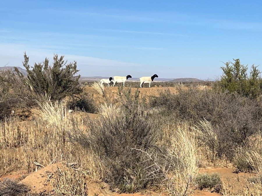 4 Bedroom Property for Sale in Vanwyksvlei Northern Cape